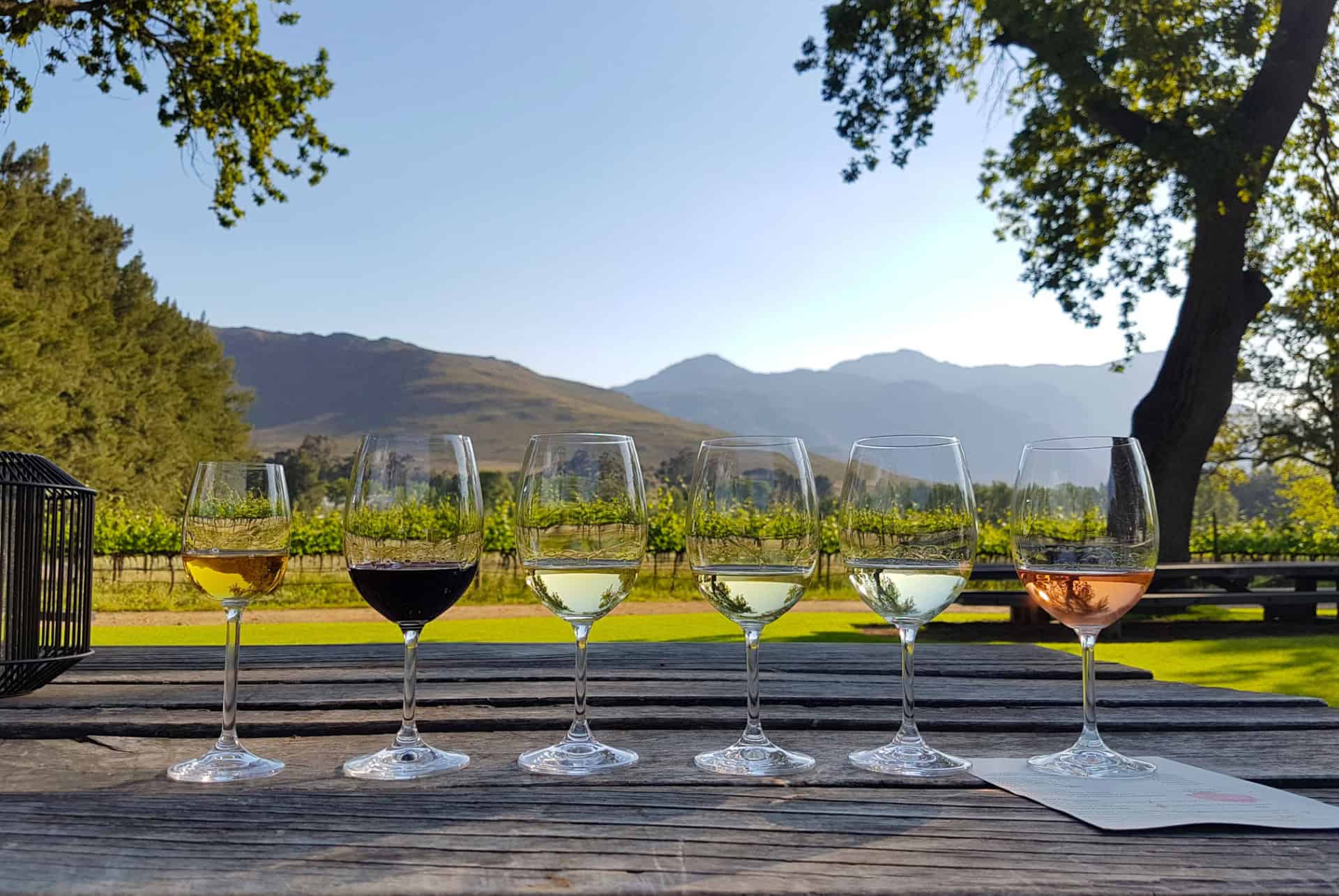 vins a stellenbosch