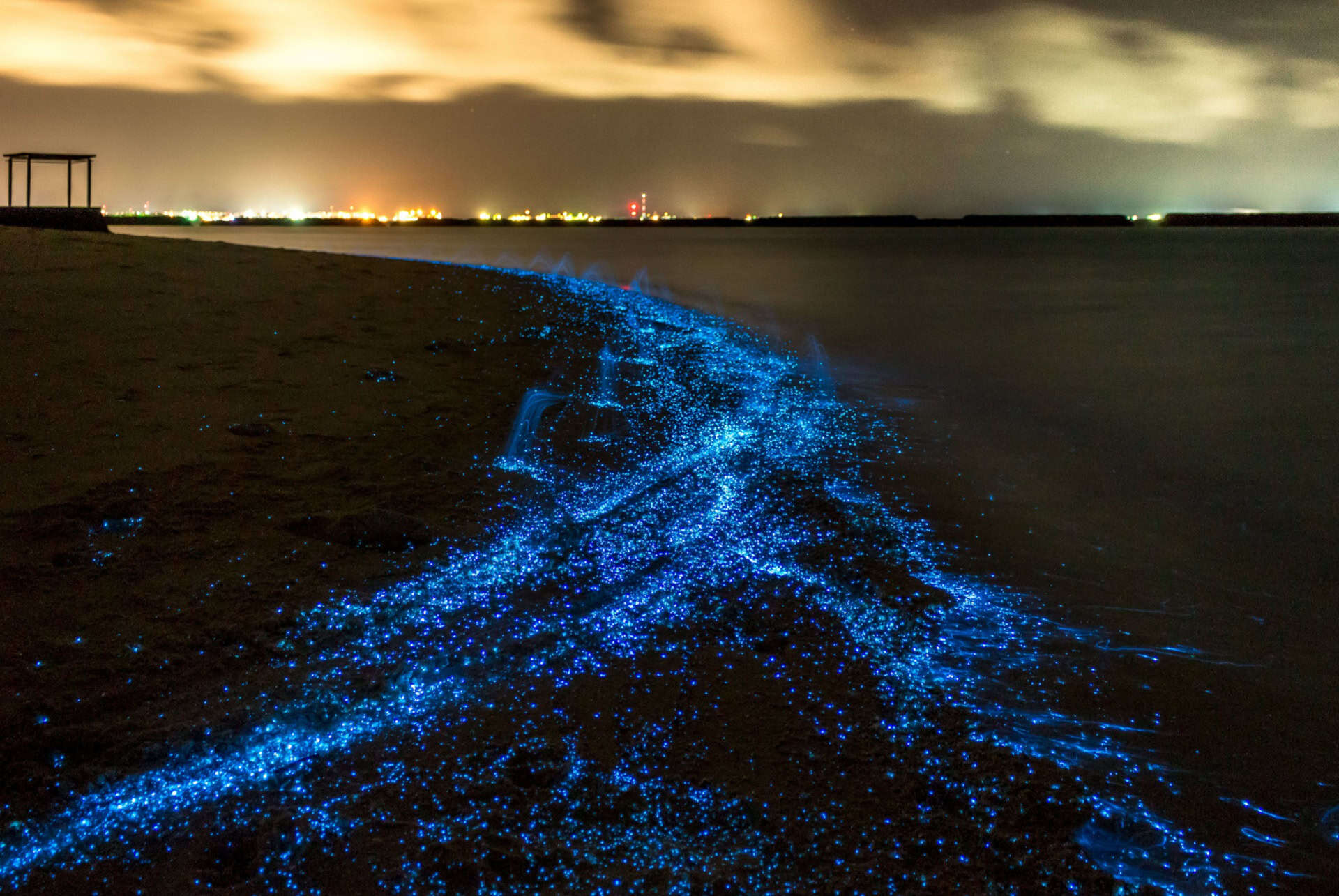 mer etoiles