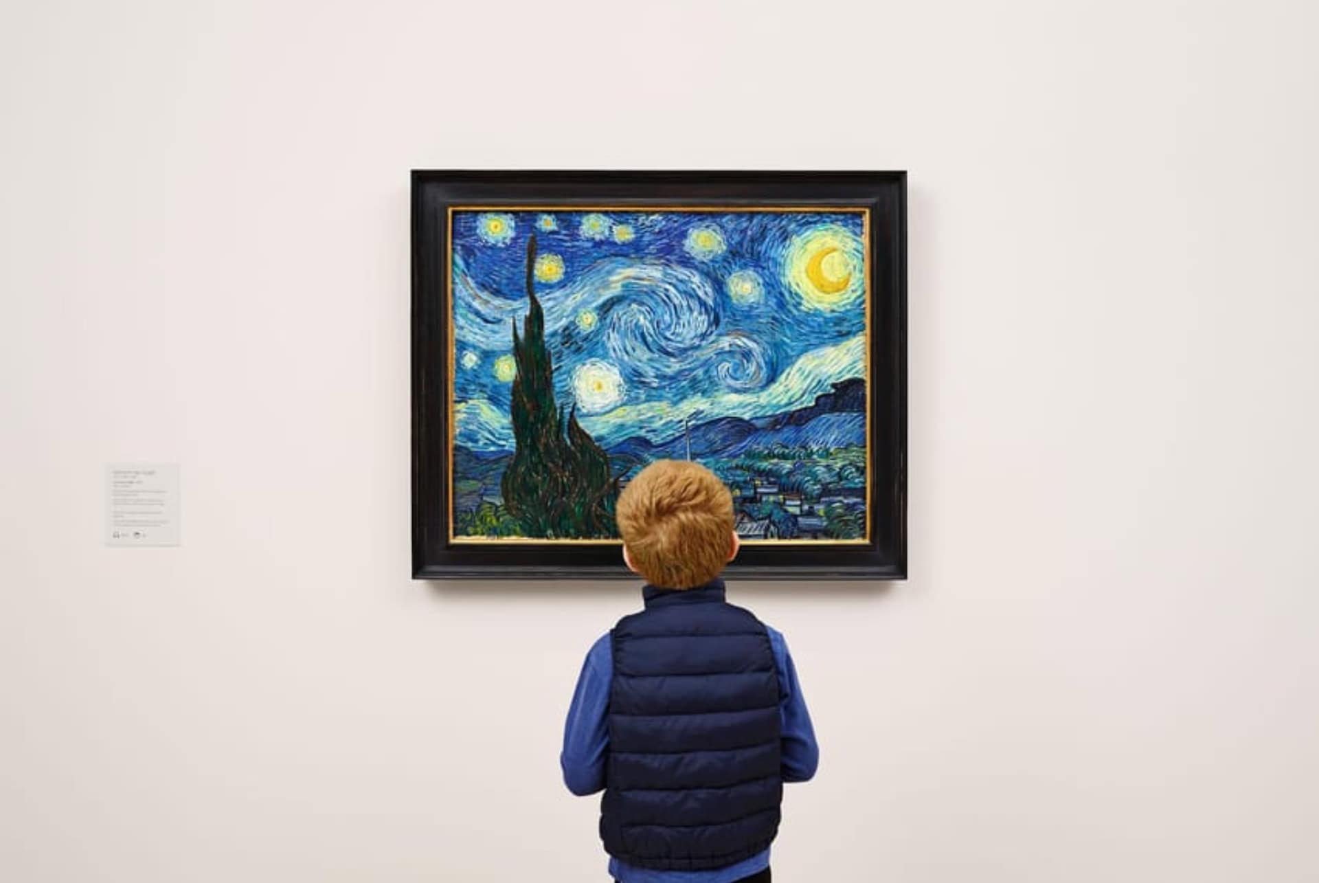 moma new york