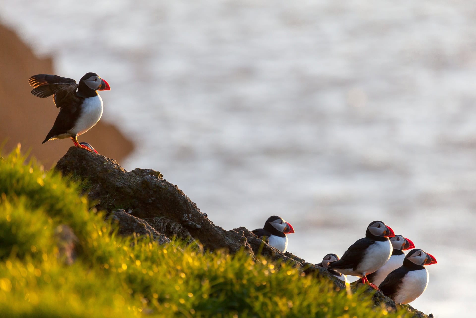 sud islande