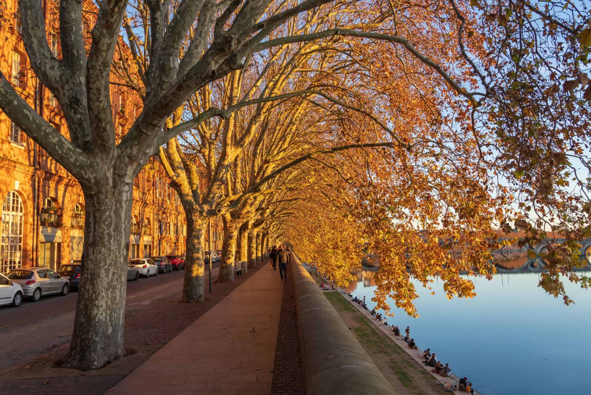 automne quand partir toulouse