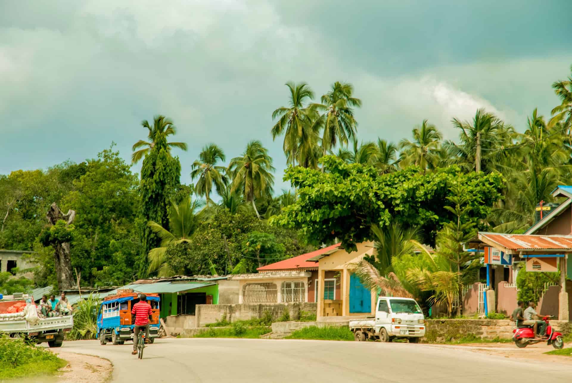 foret a zanzibar