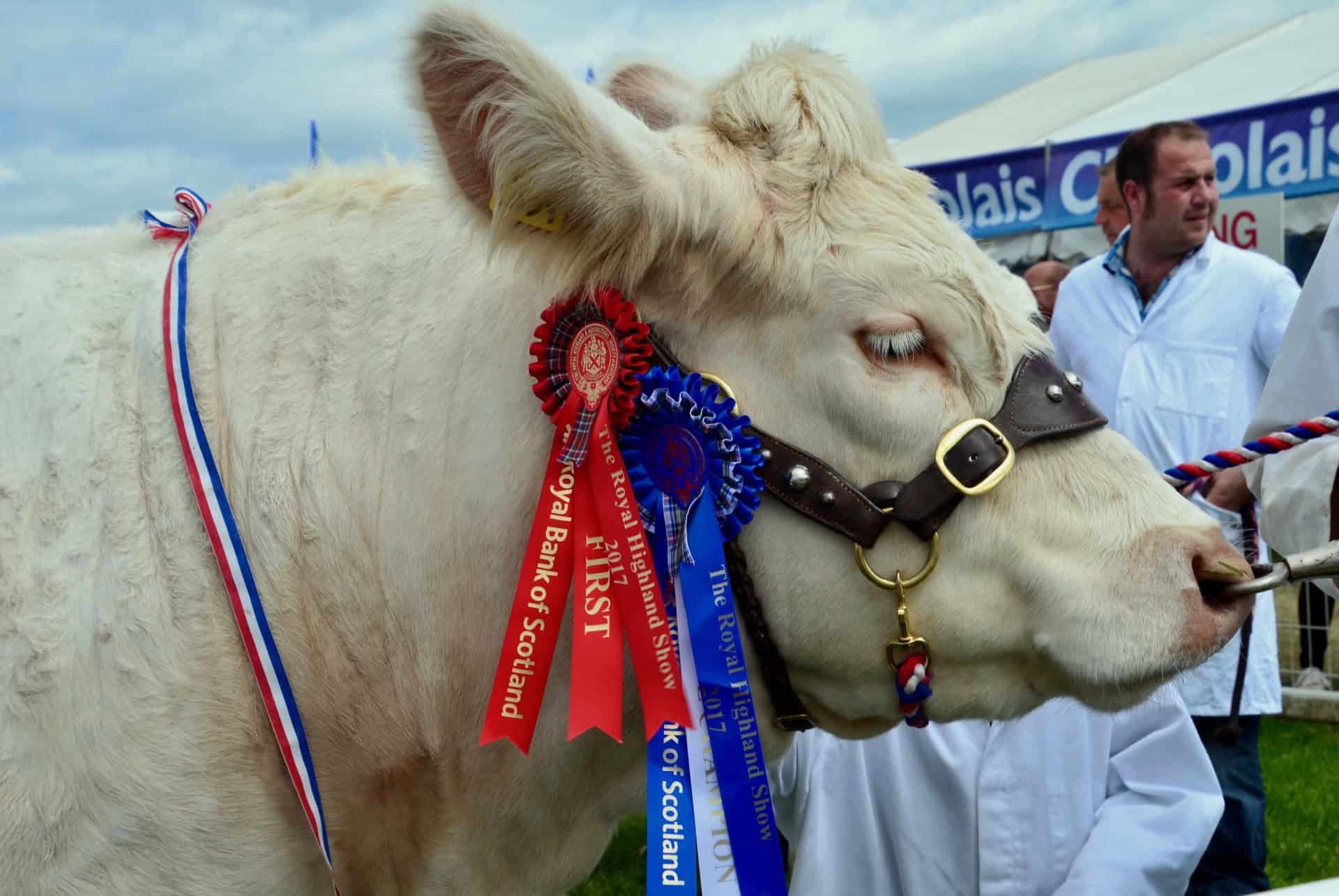 royal highland show edimbourg