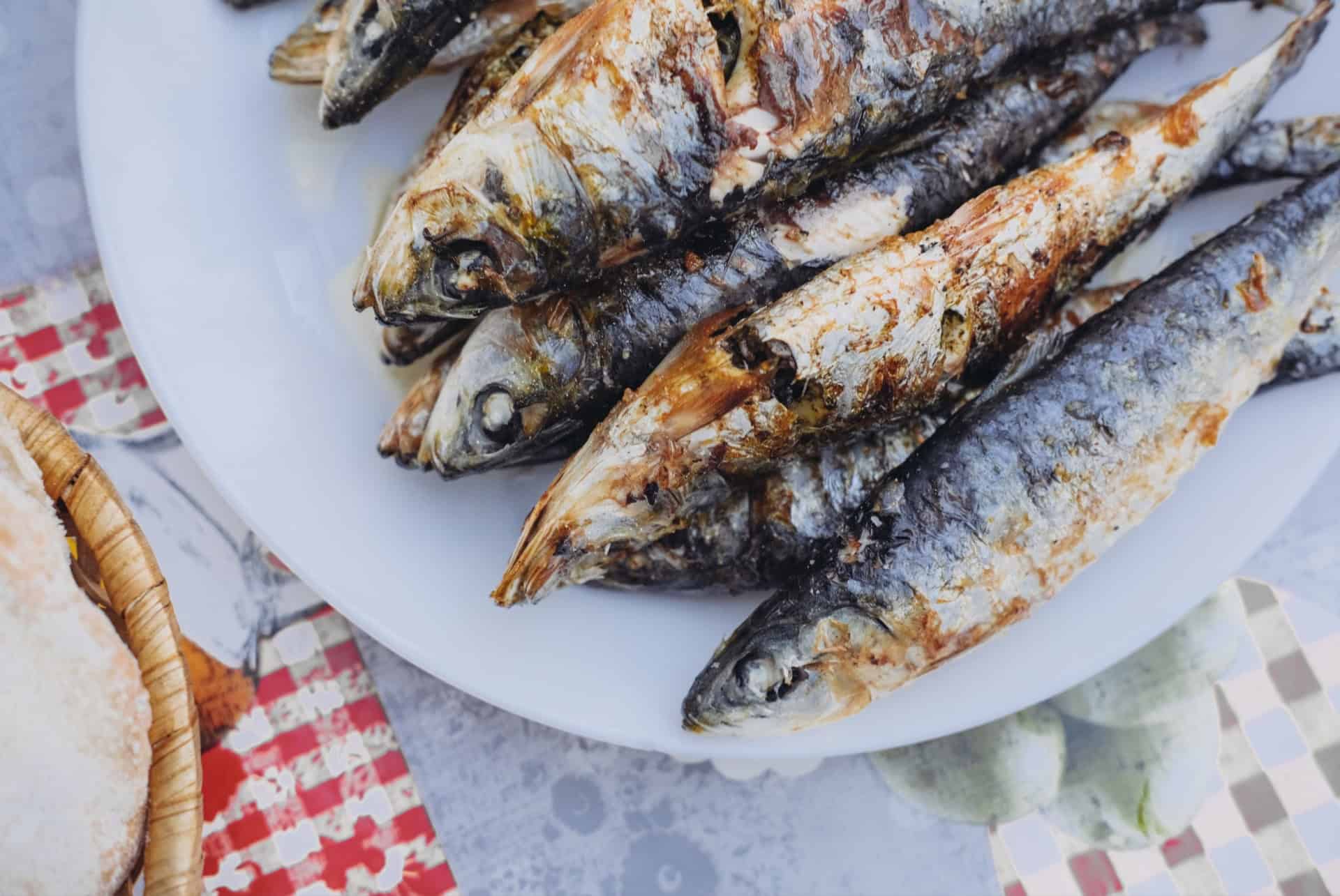 sardines