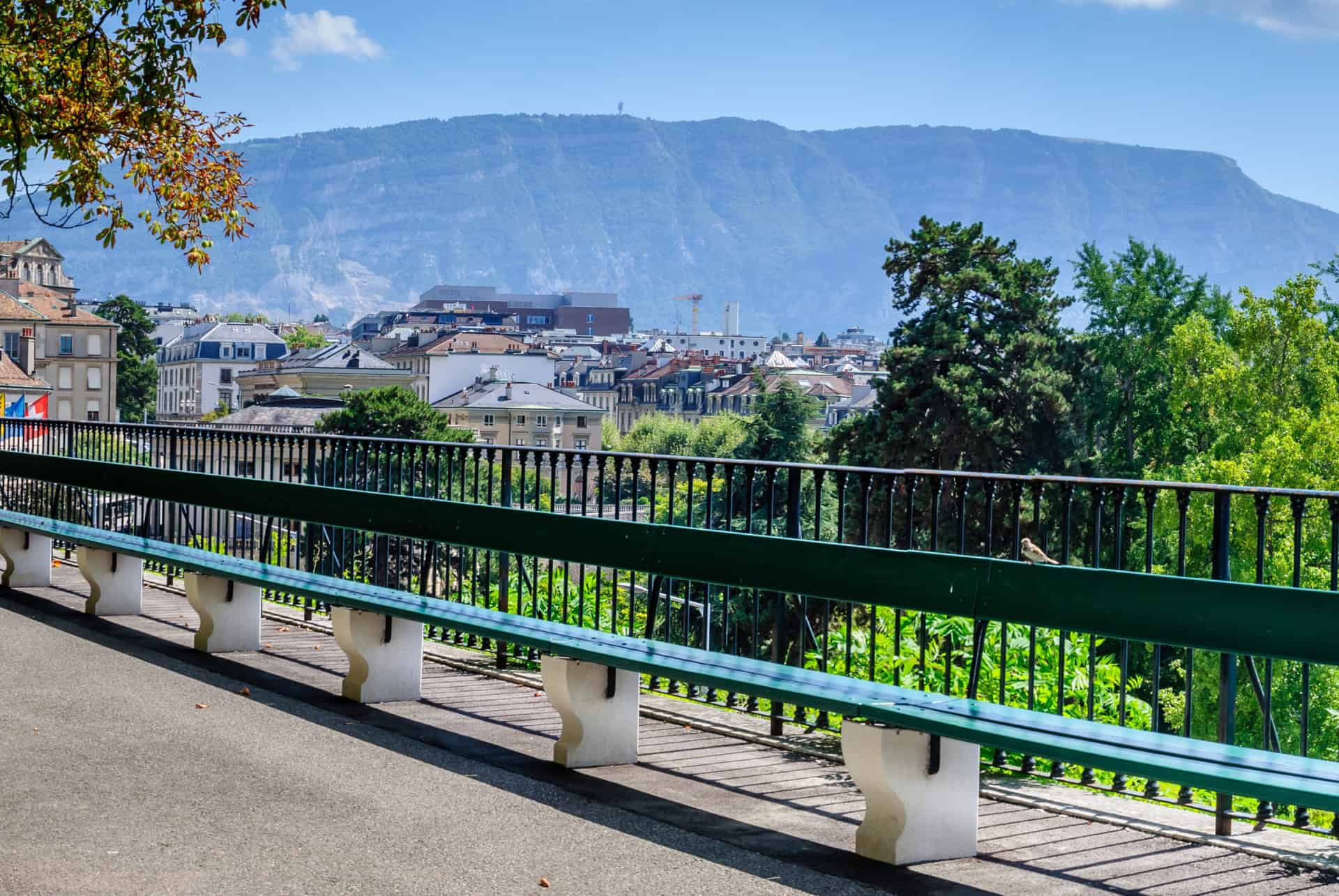 banc de la treille