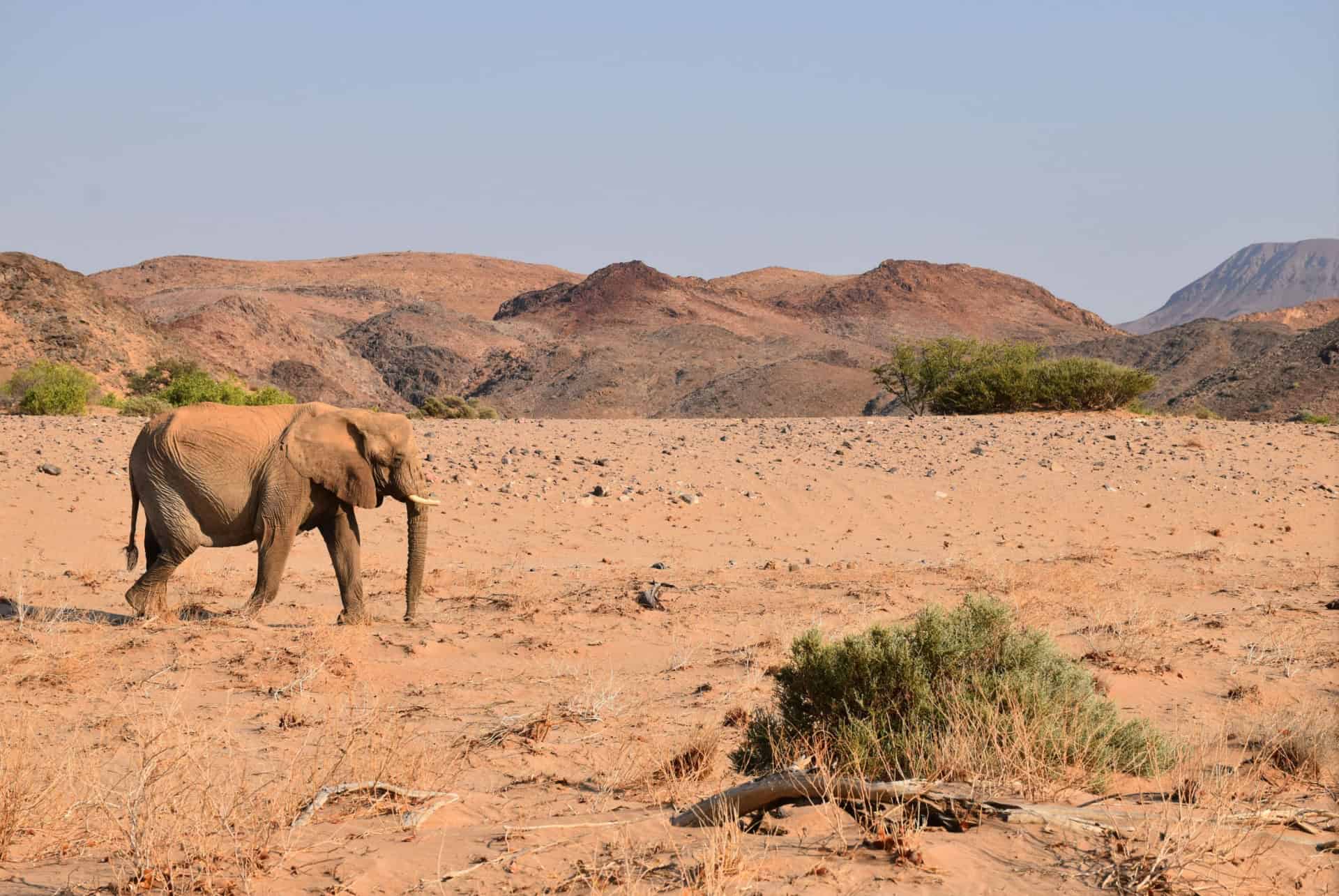damaraland namibie