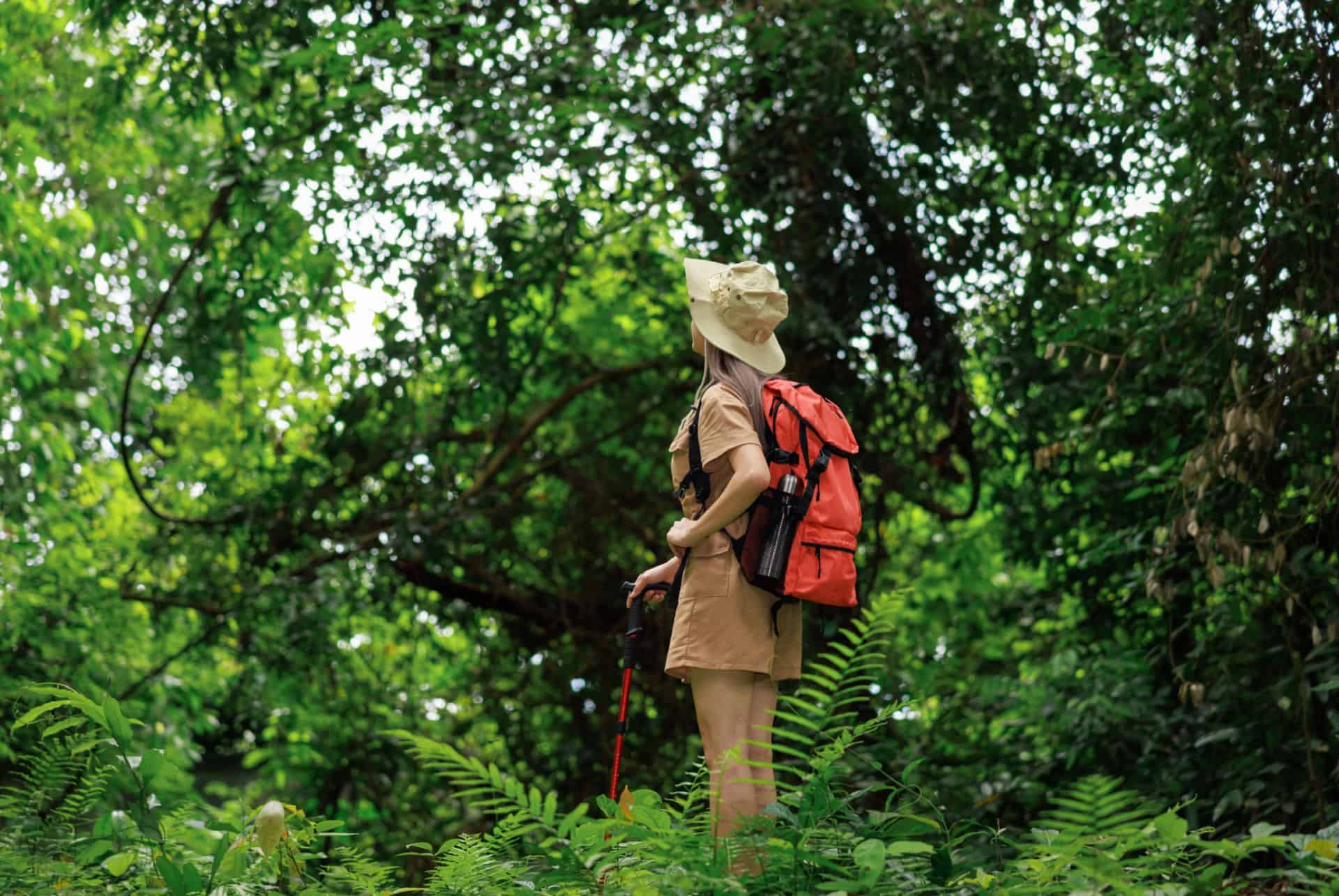 equipement safari