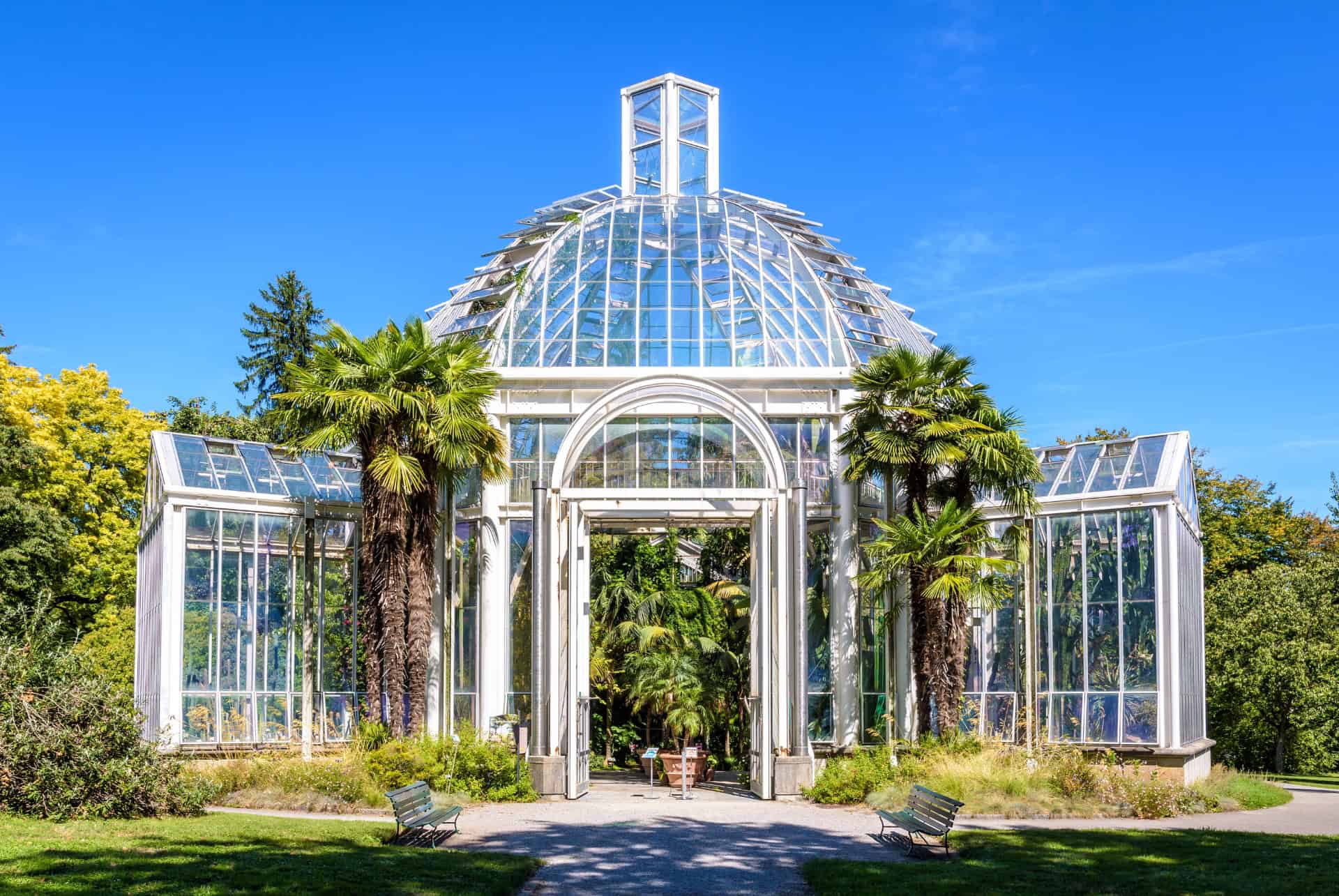 jardin botanique