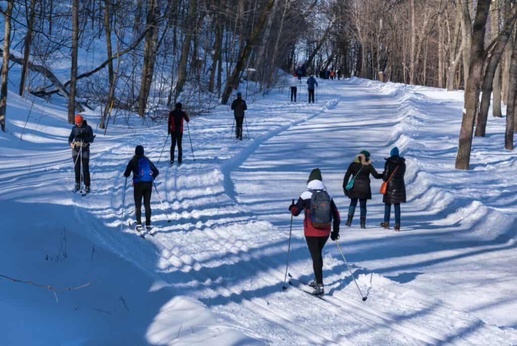 parc mont royal hiver
