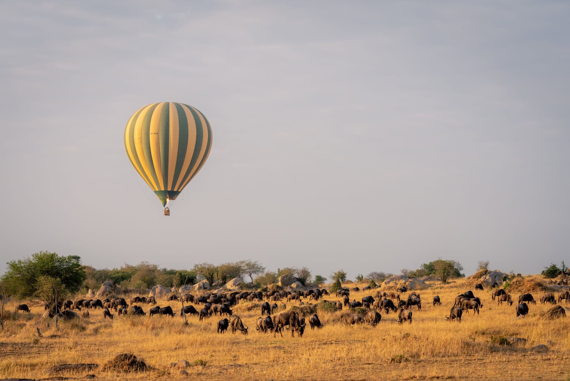 safari en montgolfiere tanzanie