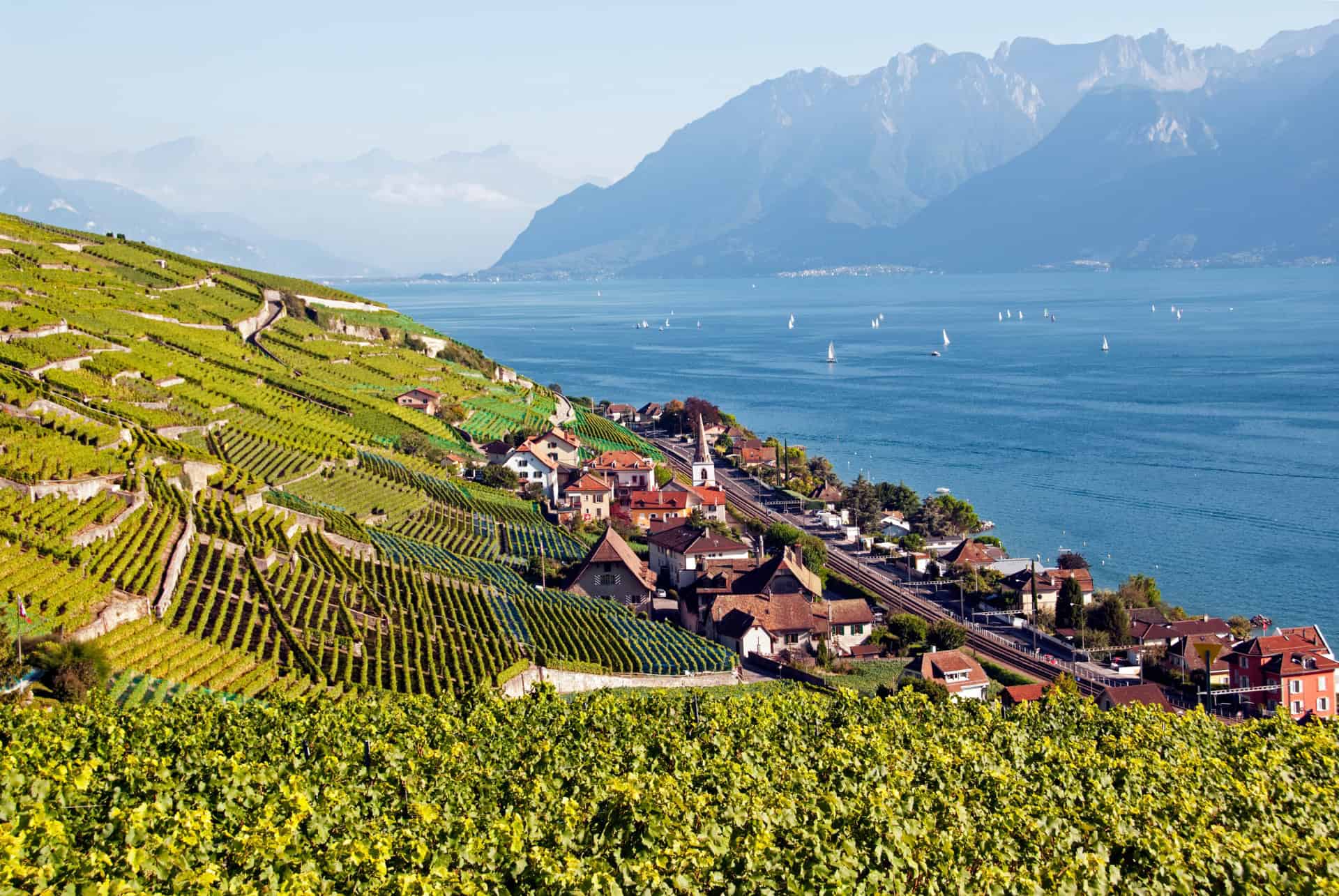 terrasses de lavaux