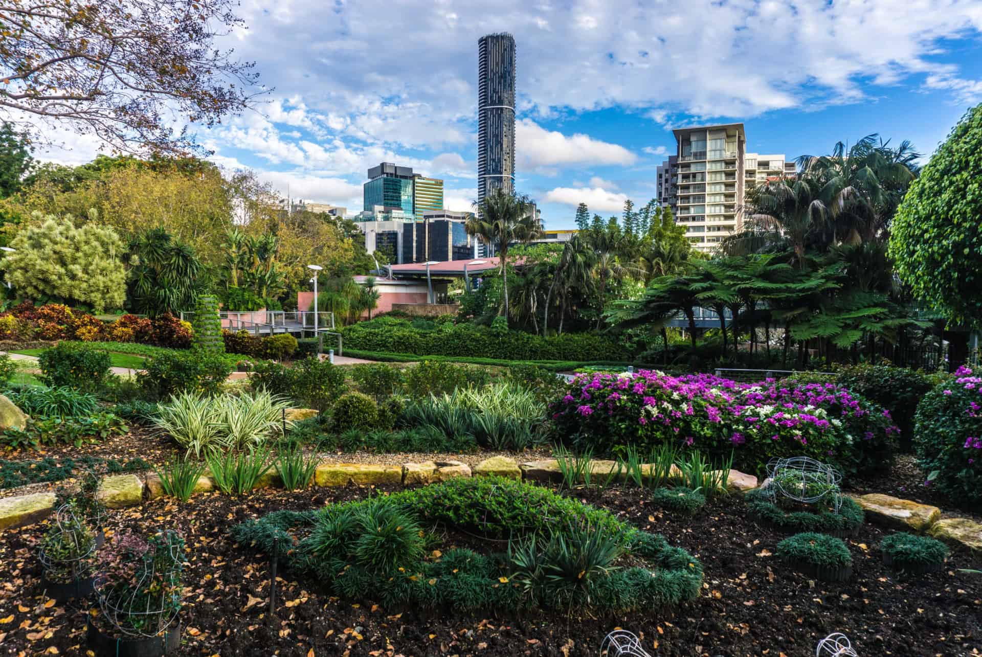 city botanic gardens que faire brisbane