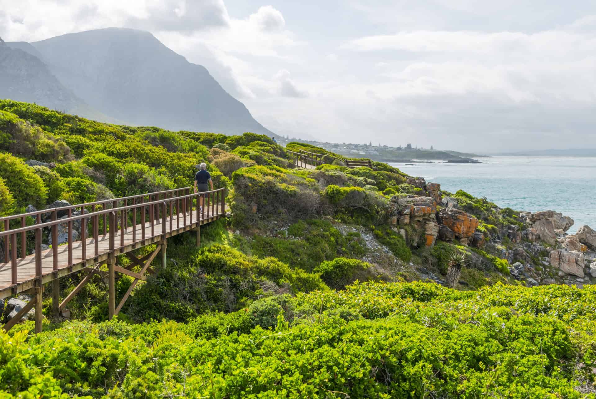 cliff path afrique du sud