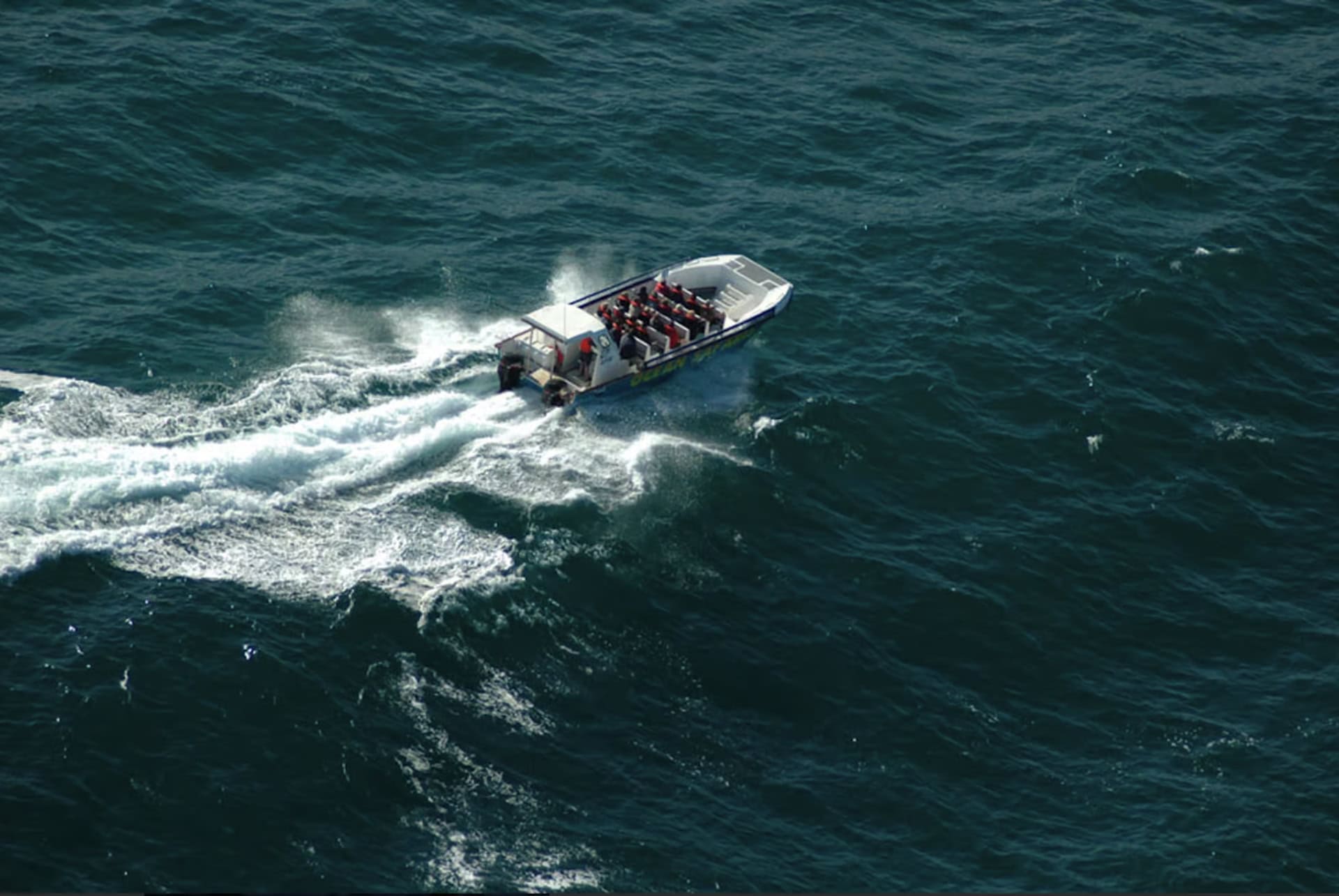 excursion hors bord plettenberg bay