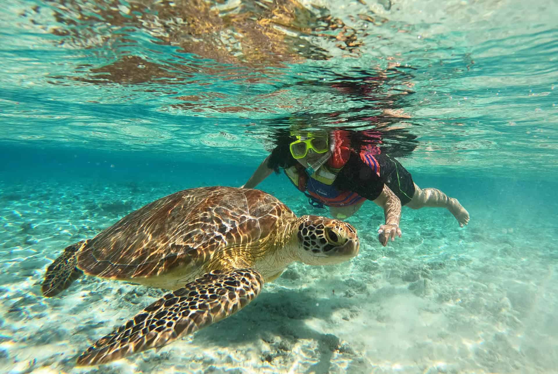 faire de la plongee a bali les iles gili