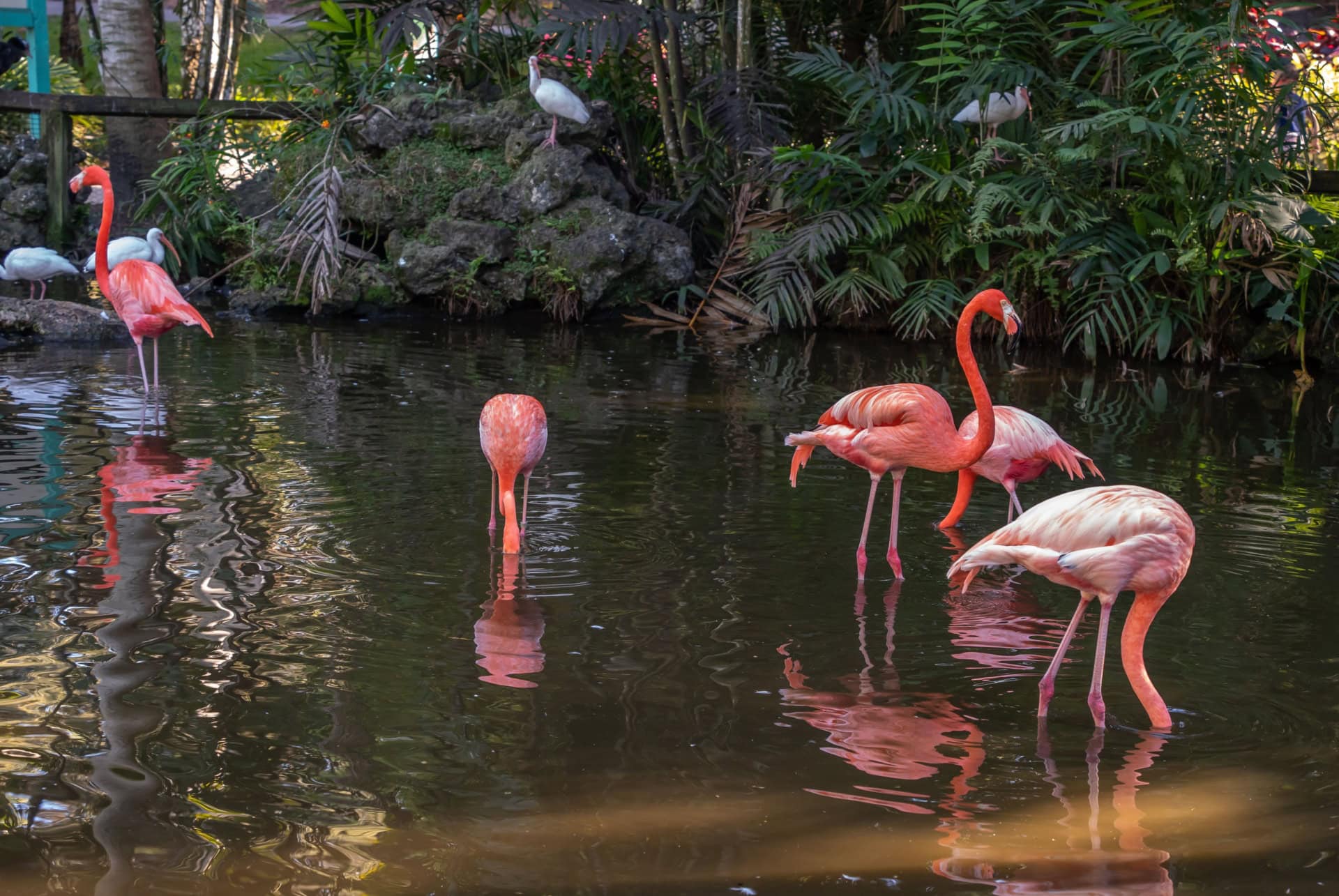 flamingo gardens pass miami