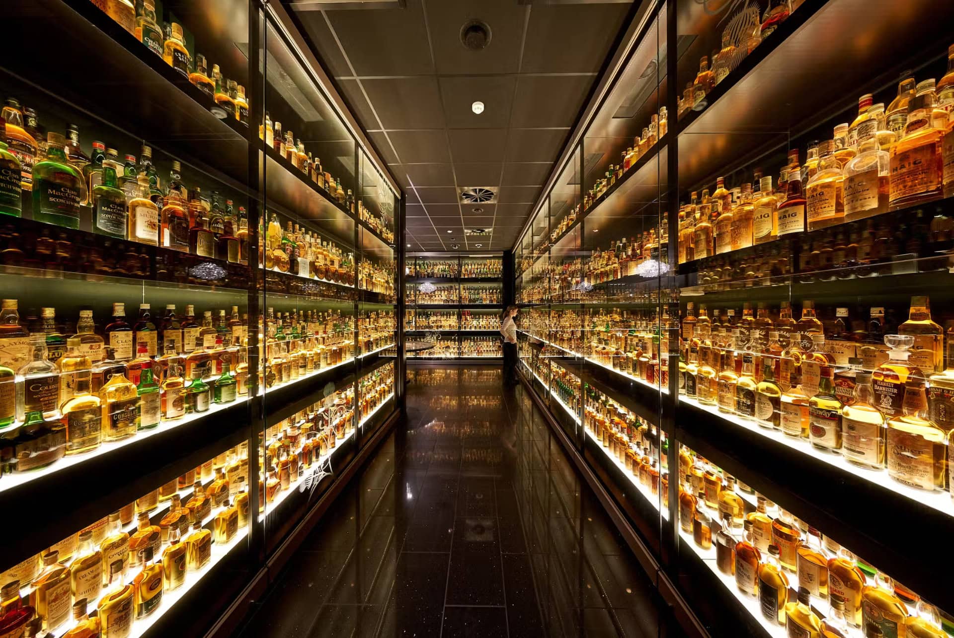 scotch whisky experience degustation