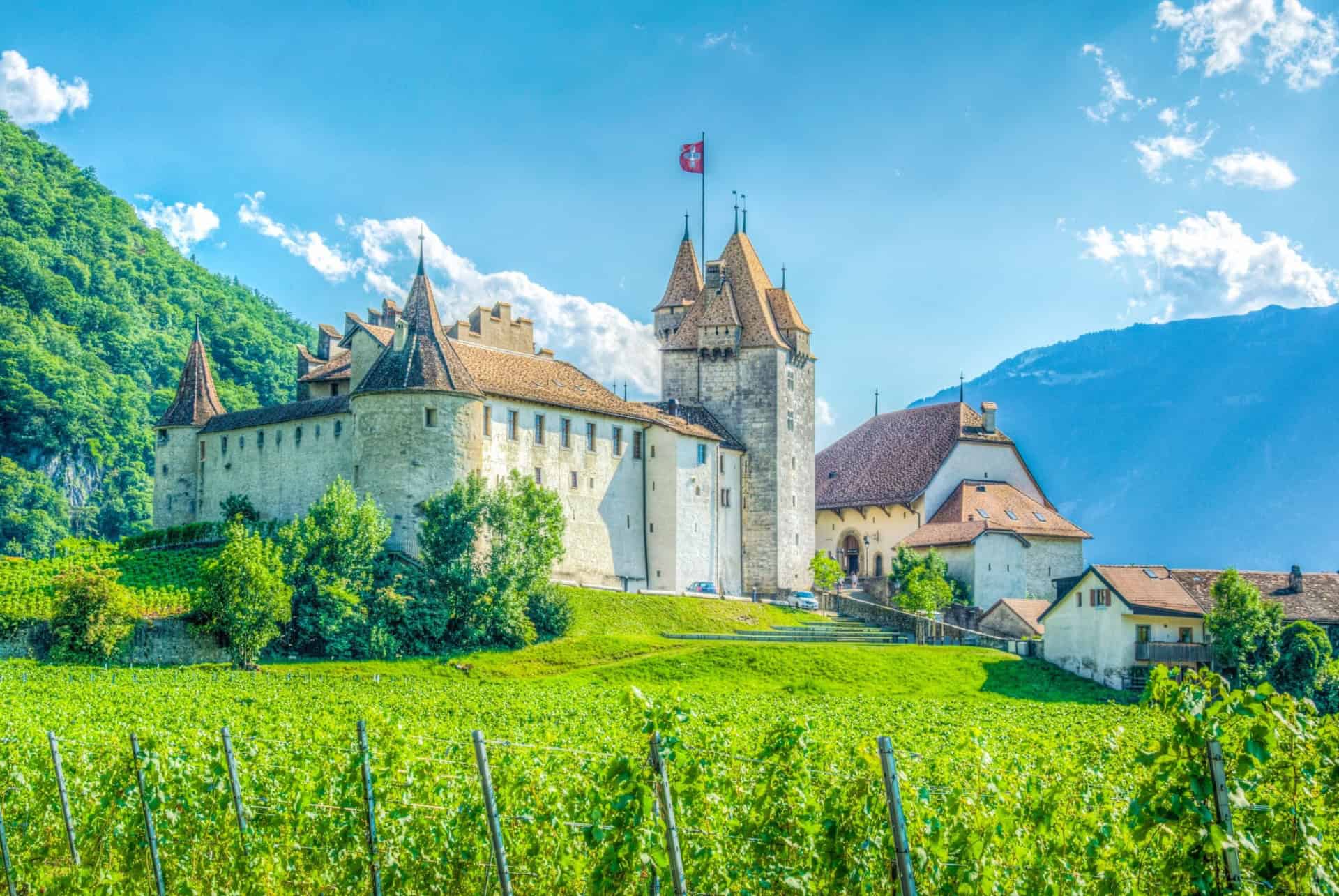 chateau aigle