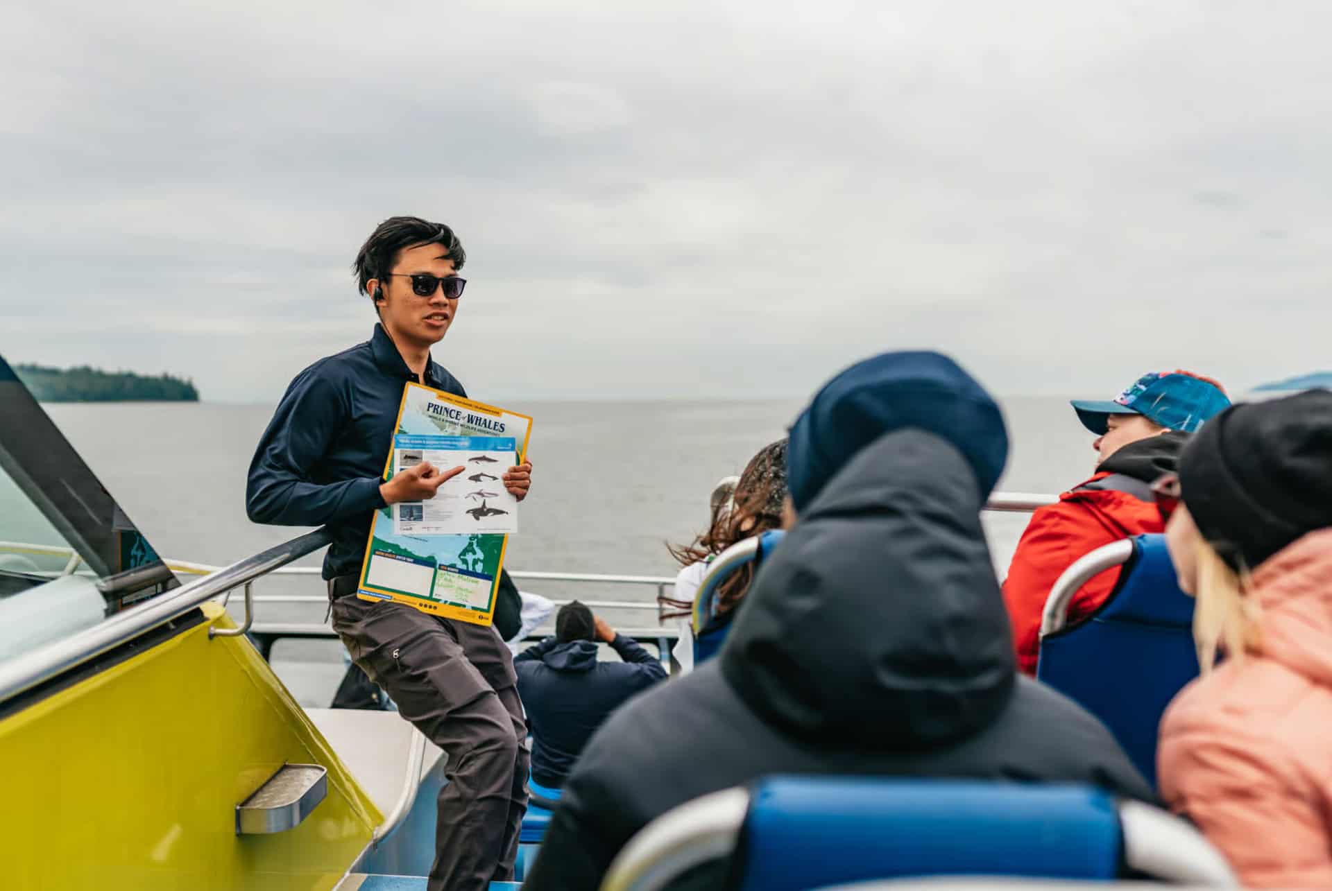 observation des baleines