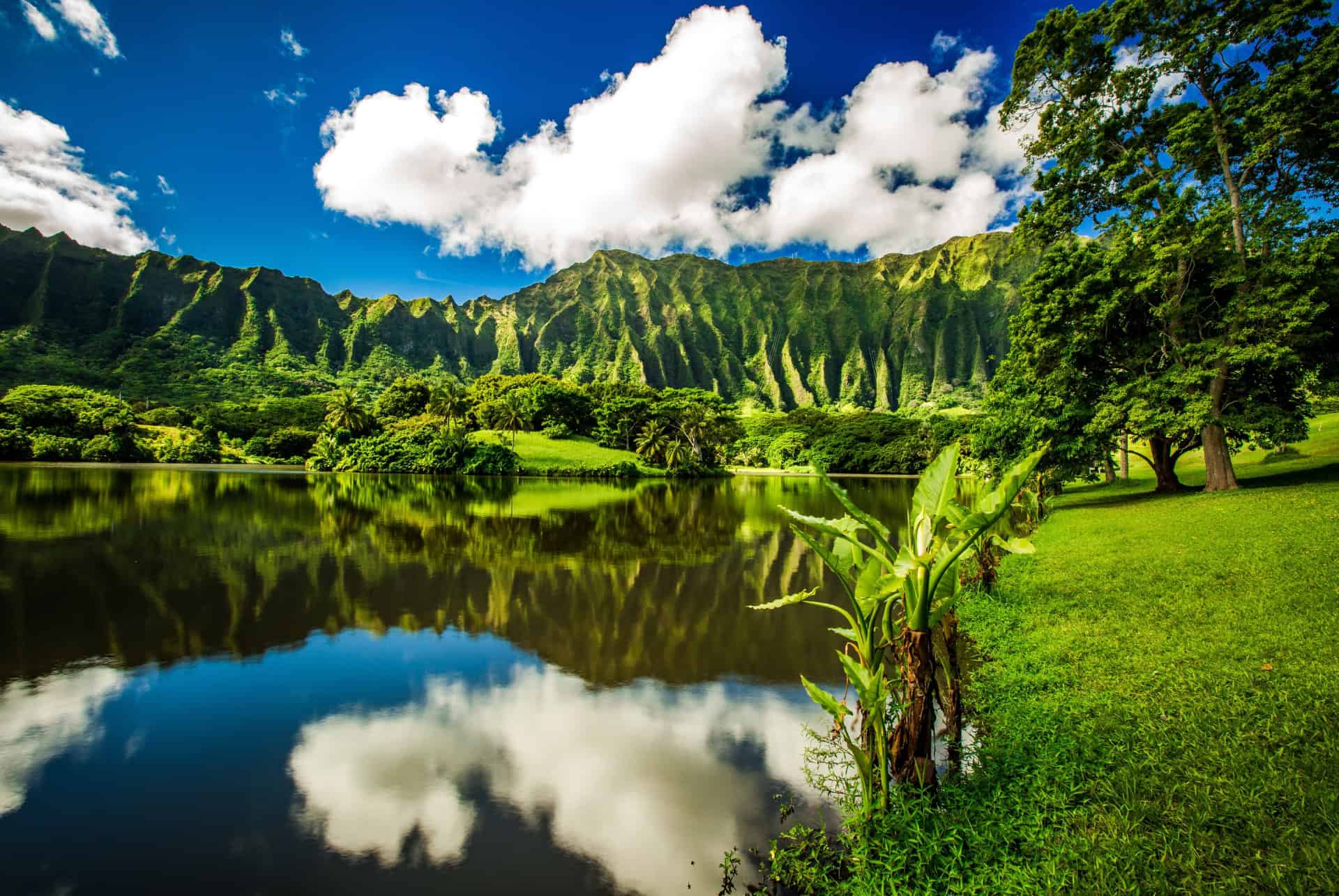 que faire a oahu visiter le jardin botanique de ho omaluhia