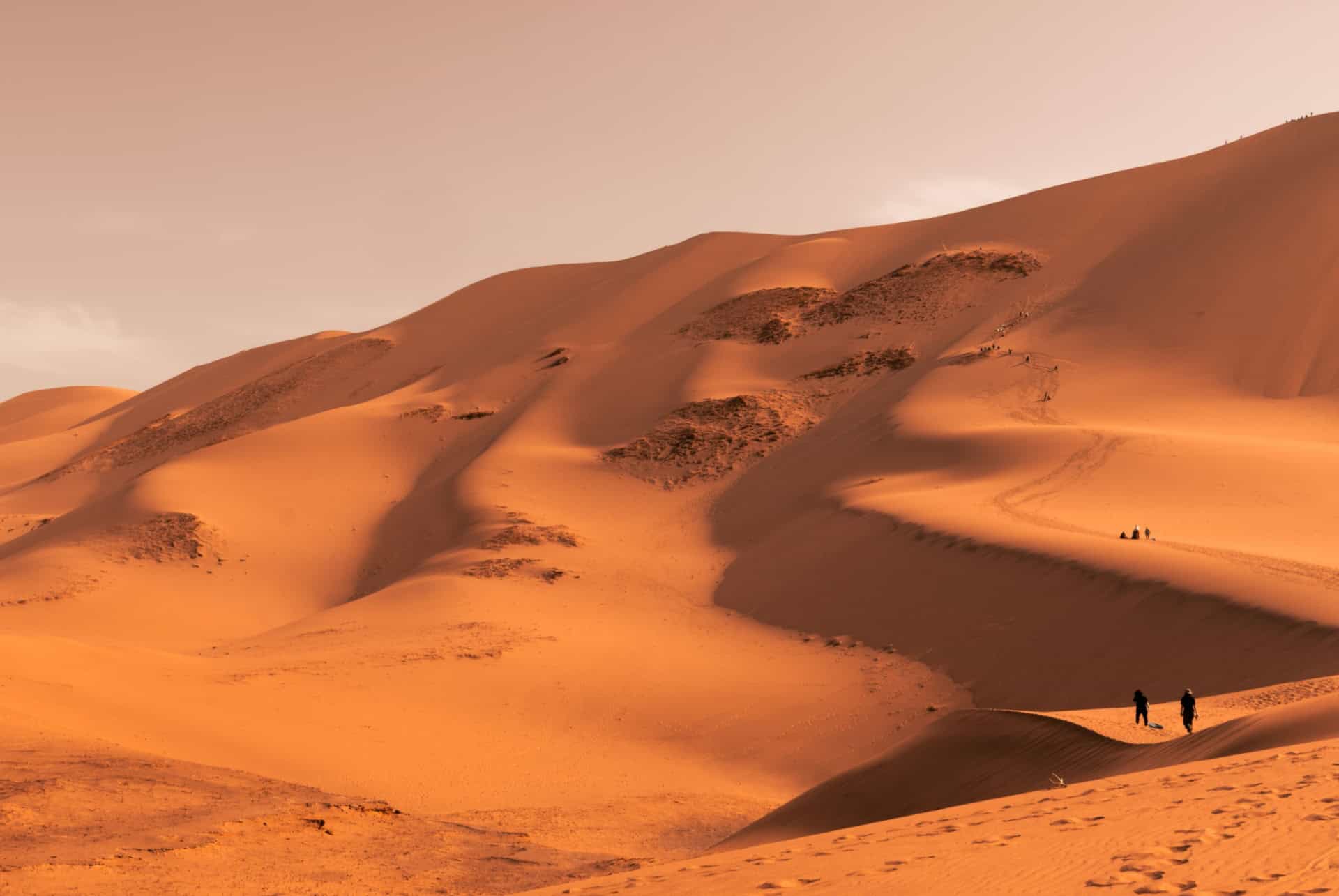 que faire en mongolie desert de gobi