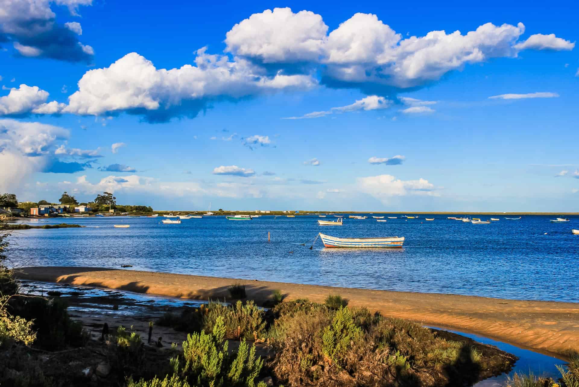 parc naturel de la ria formosa