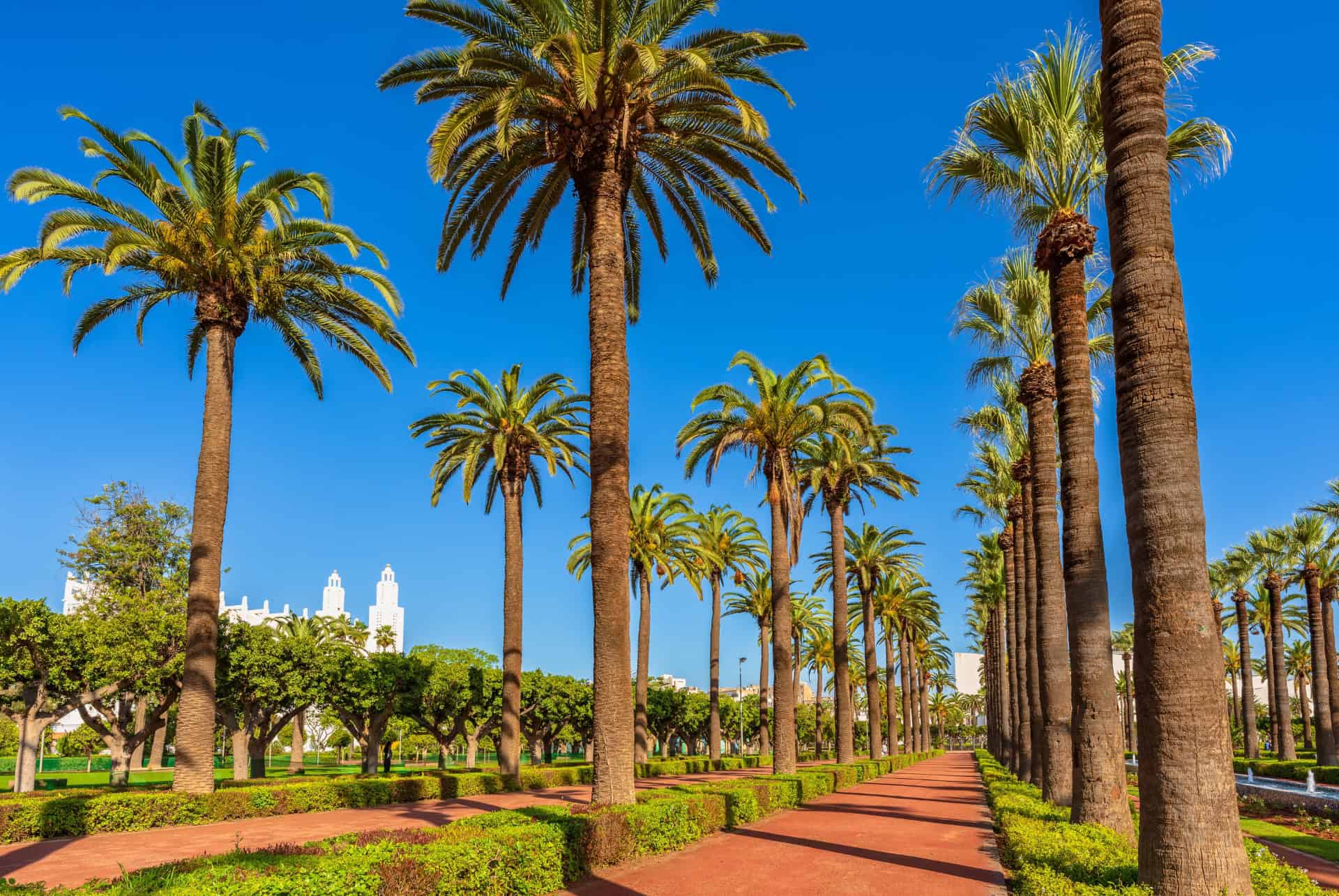 que faire a casablanca se promener au parc de la ligue arabe
