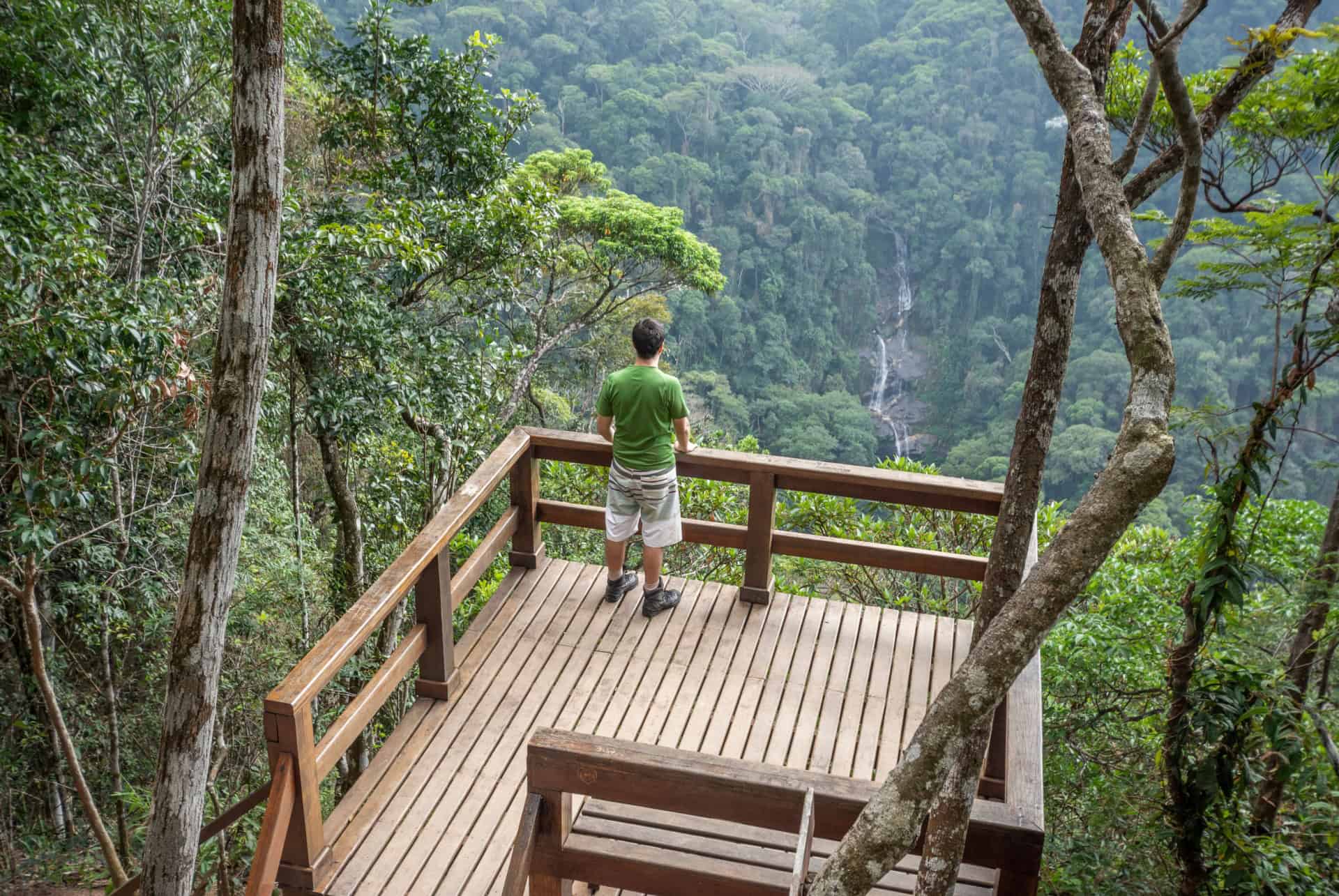 tijuca bresil