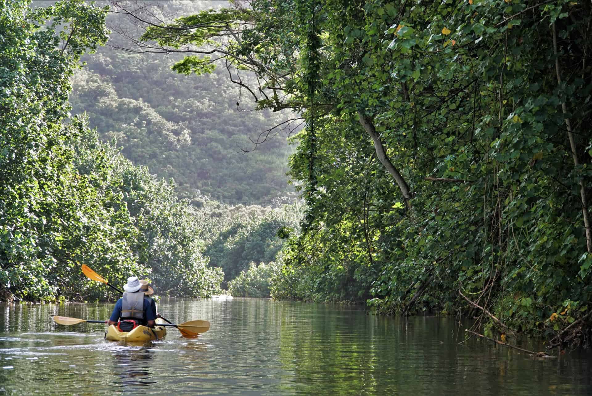 wailua river kayak kauai