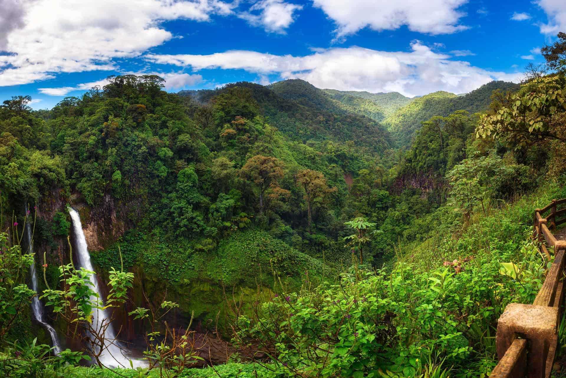 costa rica montagne et forets