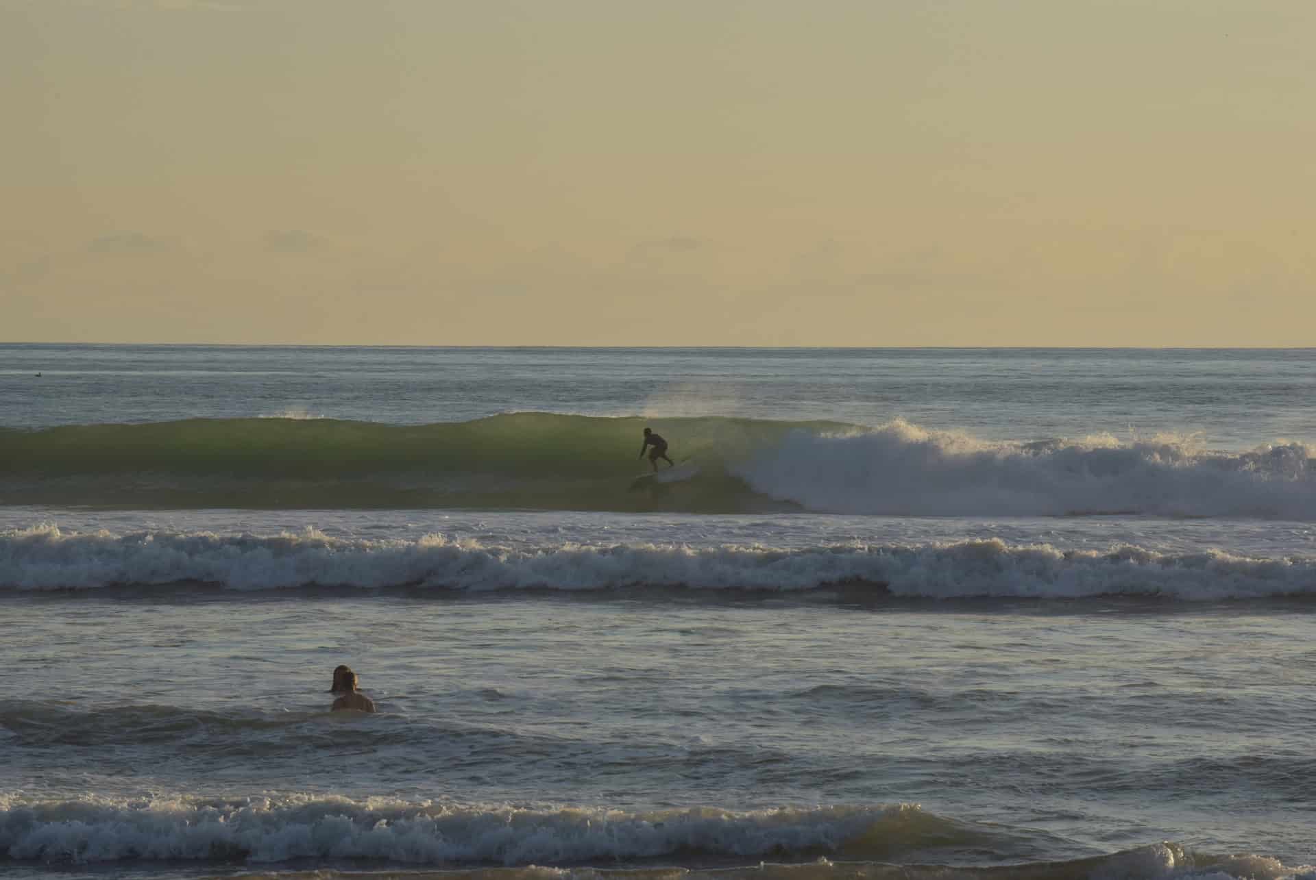 dominical surf