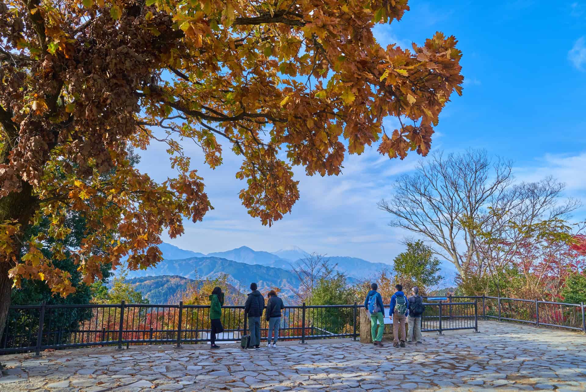 mont takao vue