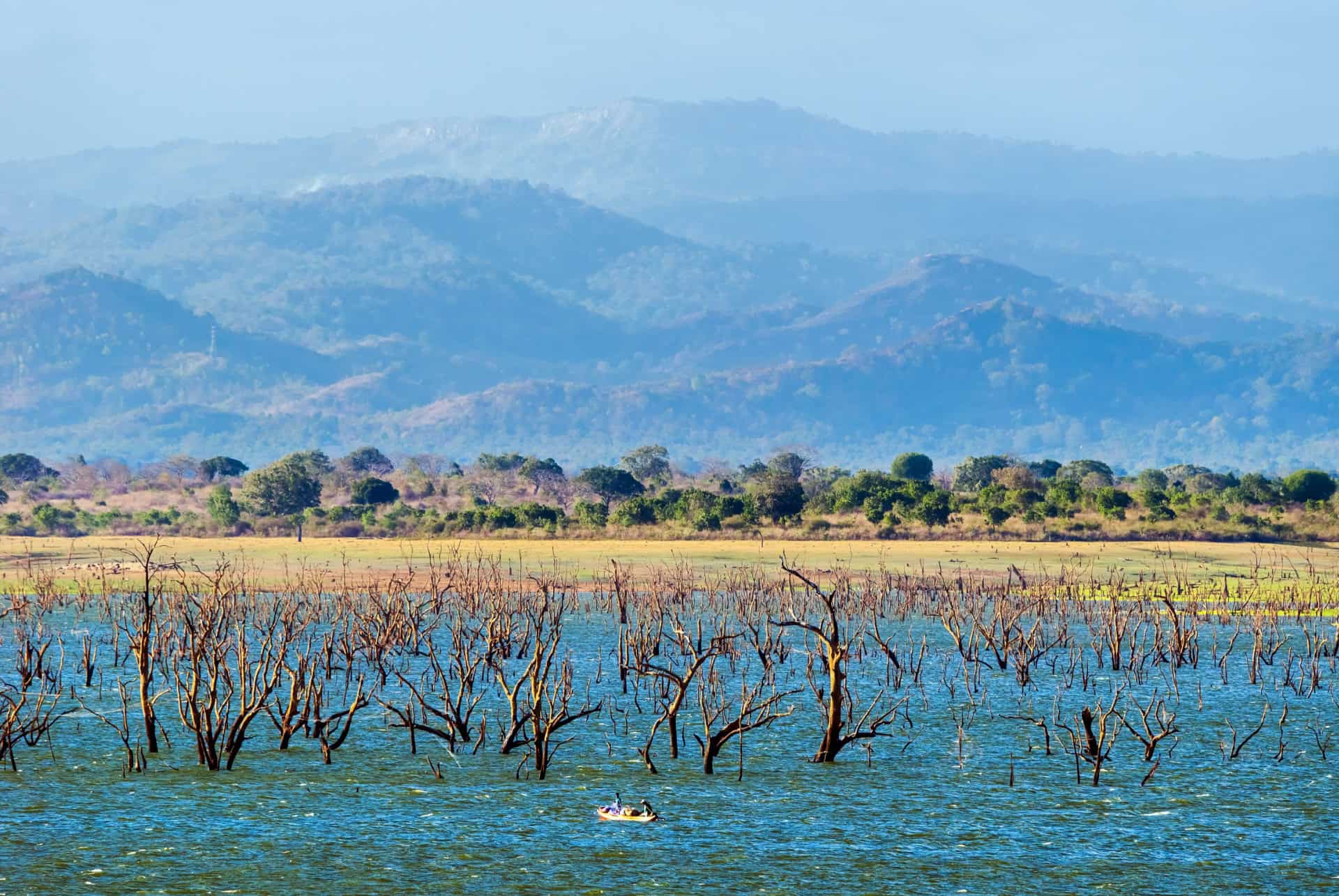 parc uda walawe