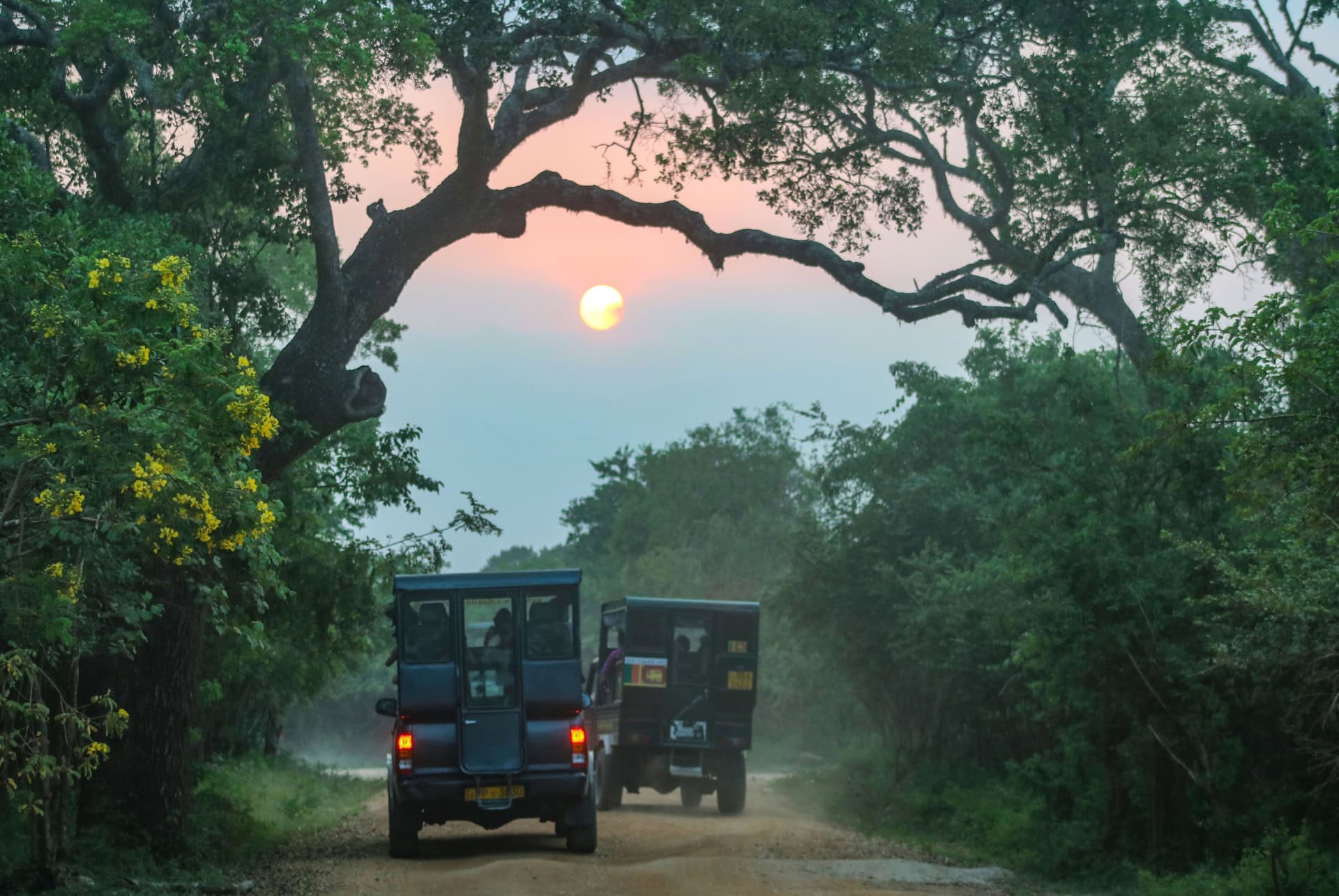 parc yala sri lanka