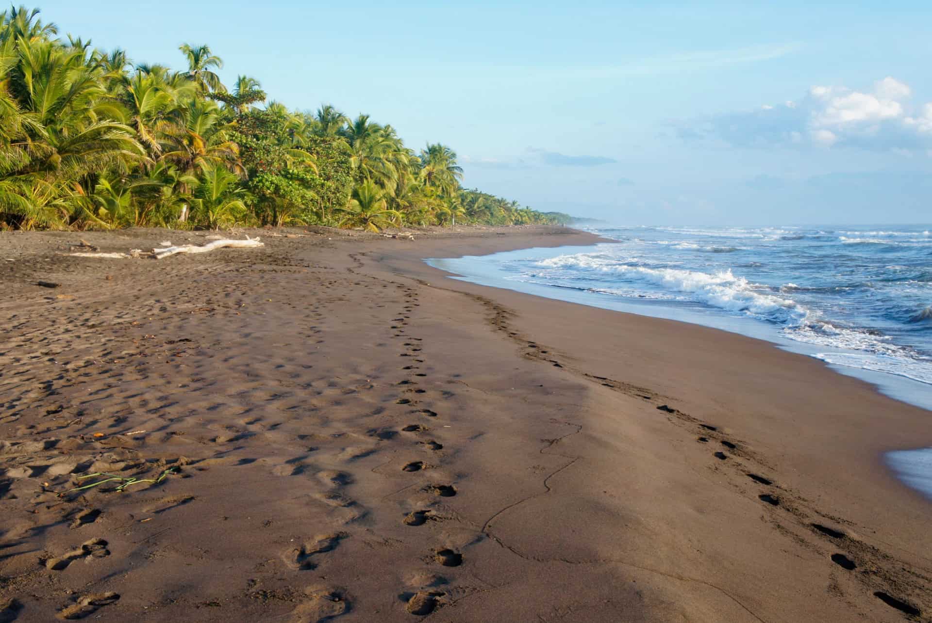 plage tortuguero road trip au costa rica