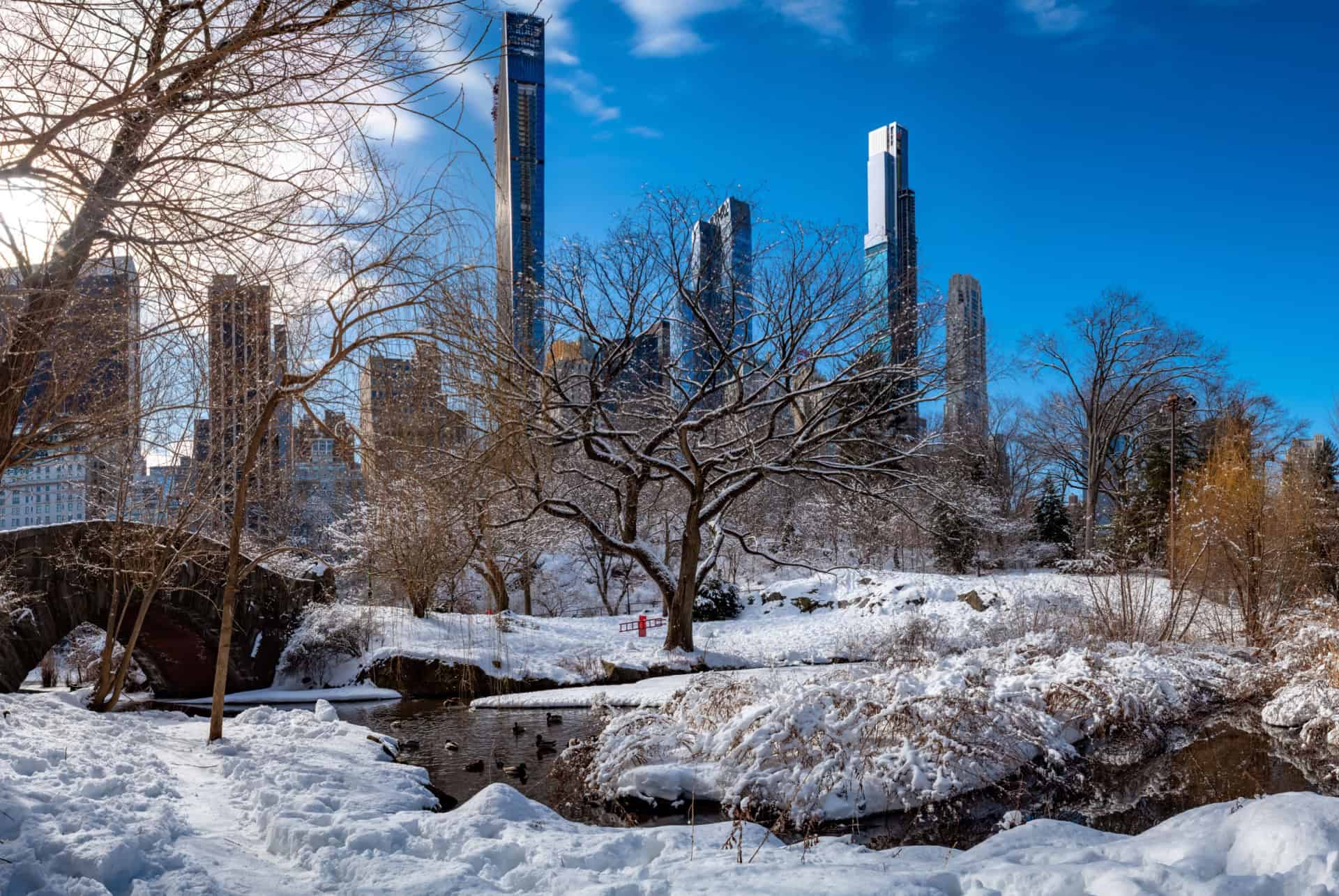 central park sous la neige