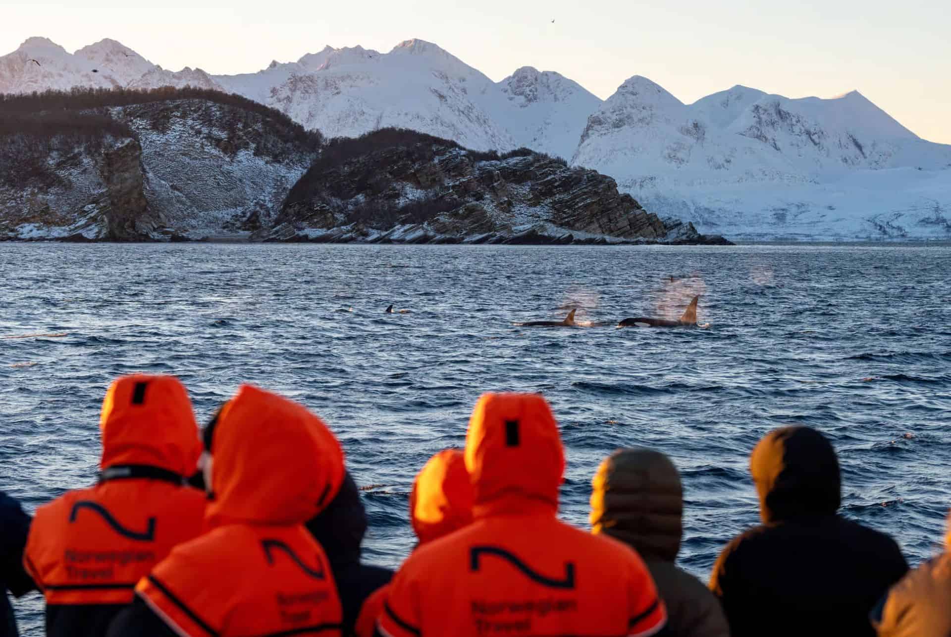 excursion tromso
