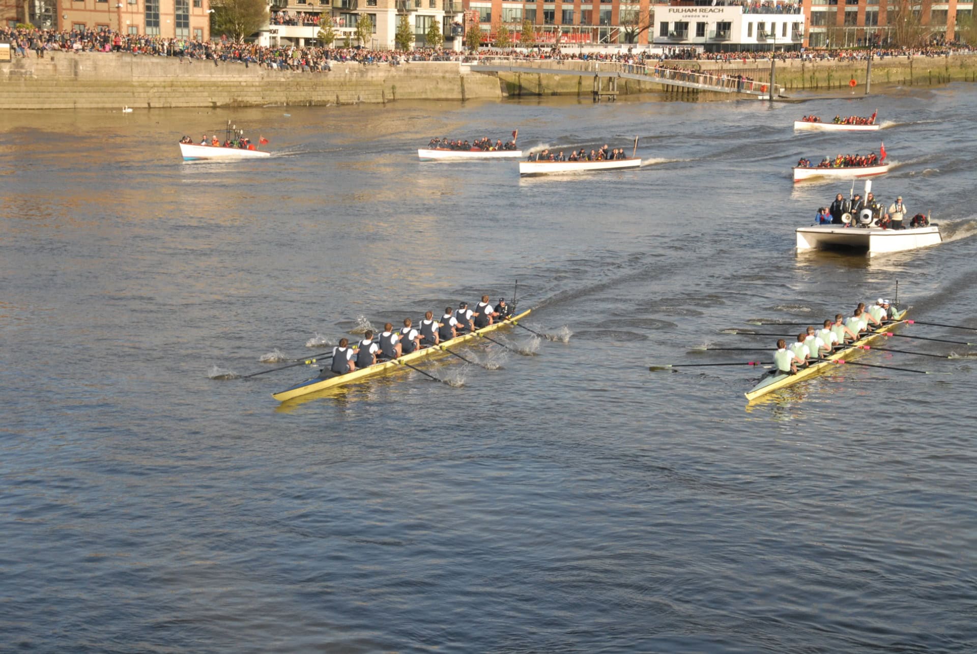 sourse aviron oxford cambridge sur la tamise