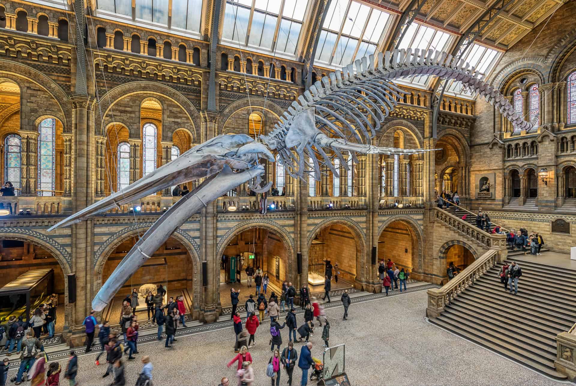 natural history museum londres